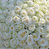 Букет 101 роз Аваланж - Фото 3