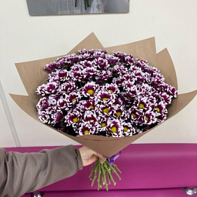 19 кустовых хризантем