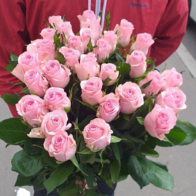 19 розовых роз