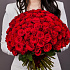 101 красная премиальная роза - Фото 2