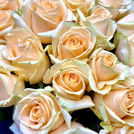 Букет из 51 розы №179 - Фото 2