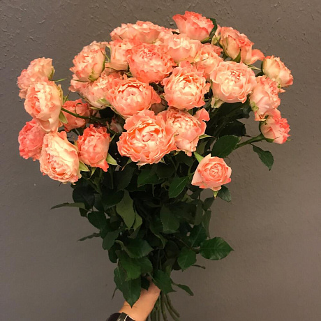 9 кустовых розочек - Фото 2