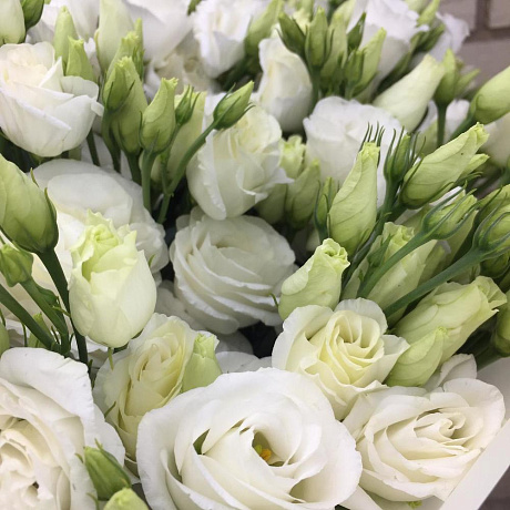 49 белых эустом - Фото 6