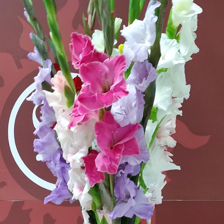 Букет цветов Глодиолус микс - Фото 2
