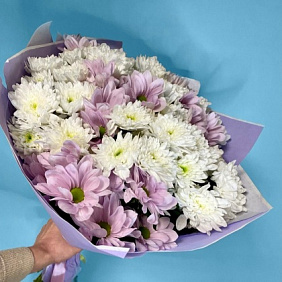 Монобукет из хризантем №161