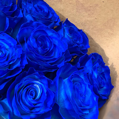 Моно из 9 Роуз Блю - Фото 3