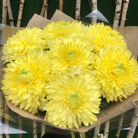 Букет цветов "Солнечный" №174