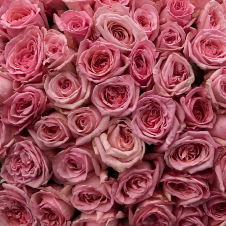 Букет цветов Pink Ohara - Фото 3