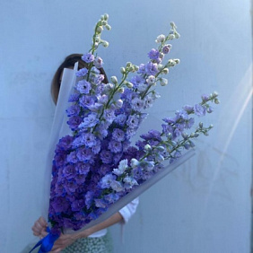 Букет из дельфиниума №160