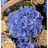 Корзина с цветами Летний Сонет - Фото 3