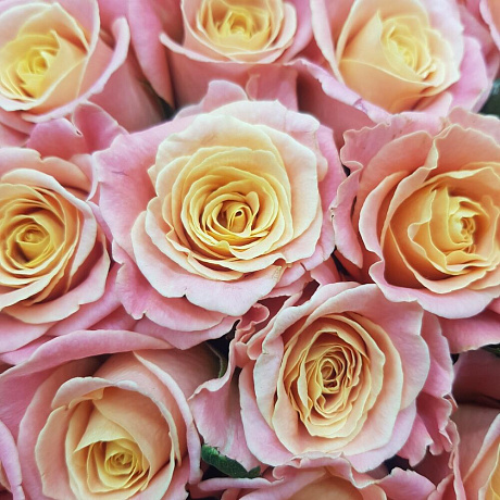 Букет из мисс пигги 60см - Фото 5