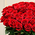 101 красная роза Фридом - Эквадор (70 см) - Фото 2