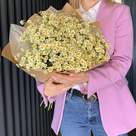 Букет полевых Ромашек №160