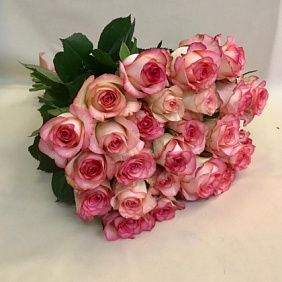 Букет из 25 роз №166