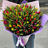 Разноцветные тюльпаны №161 - Фото 1