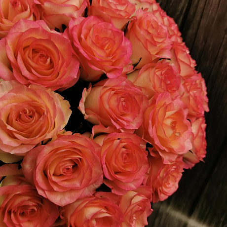 51 розовая роза Джумилия - Фото 3