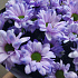 Букеты цветов Виолетта №162 - Фото 4
