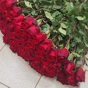 Роза Эквадор ПРЕМИУМ