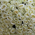 151 белая роза 60 см - Фото 2