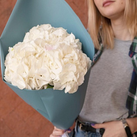 Букет из 3 белых гортензий