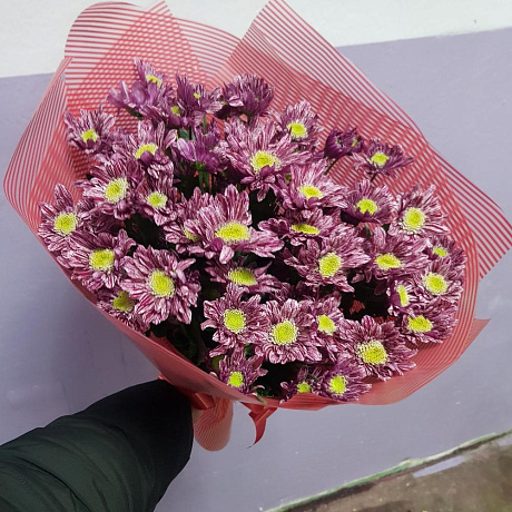 Букет с хризантемами №318 - Фото 2