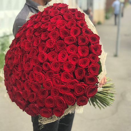 Красная роза. 70 см . 151 шт.  Монобукет.  N162 - Фото 2