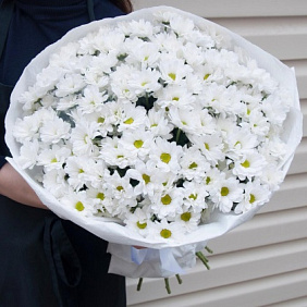 Букет из 15 белых хризантем №2