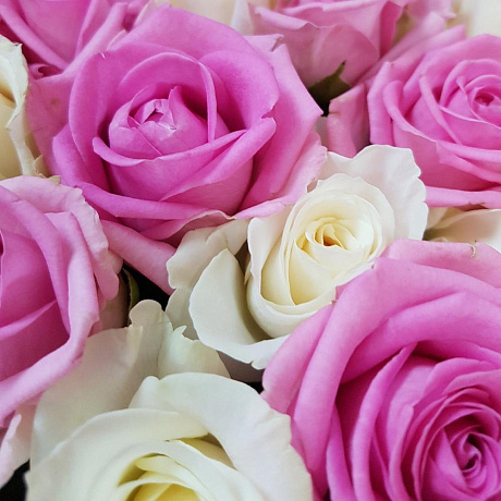 Букет из 51 розовой и белой розы №161 - Фото 4