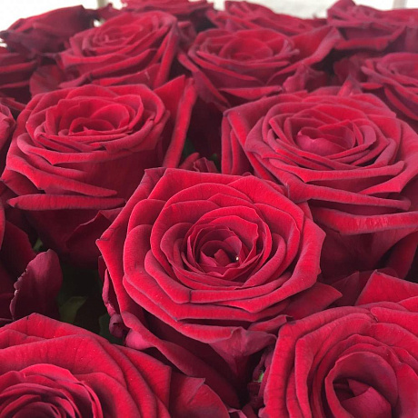 31 красная роза с лентой - Фото 6