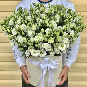 Коробки с цветами. Эустома. N573