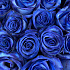 Букет живых синих роз 101 шт - Фото 3