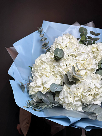 Горделивые Гортензии (5 шт) - Фото 2