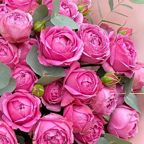 Роскошные пионовидные розы Мисти баблс - Фото 5