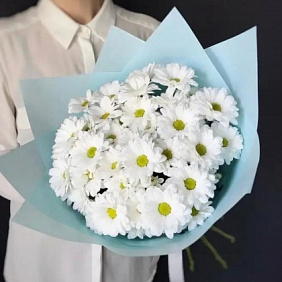 Букет хризантем Клариса