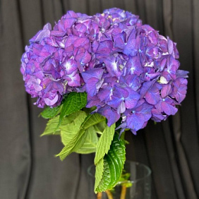 Букет с гортензиями №178