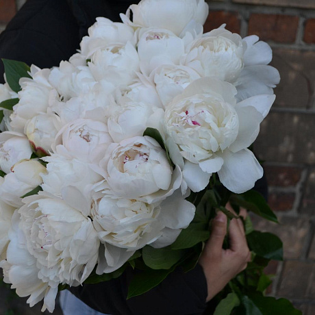 Букет цветов White pearl - Фото 2