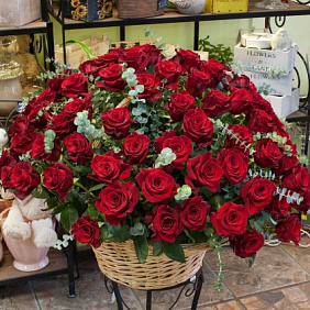 Корзина из красных роз "Розаприма" (101 роза)