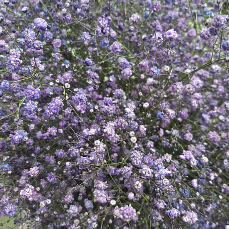 Букет цветов Фееричное облако - Фото 3