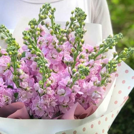 Букет из розовых маттиол - Фото 3