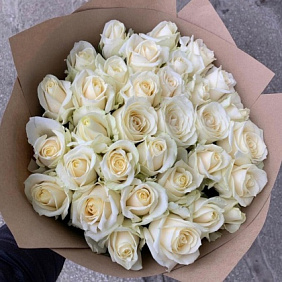 31 белая роза №160
