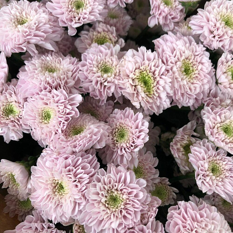 Букет цветов Джинни - Фото 4