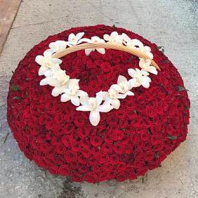 Корзины с цветами.  Красные Розы. 501 роза. N242