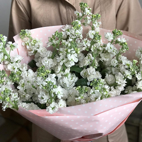 Белая маттиолла - Фото 4