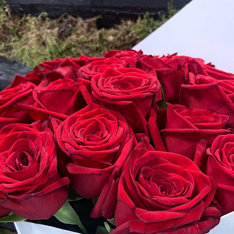 Моно Букет из 25 роз - Фото 6
