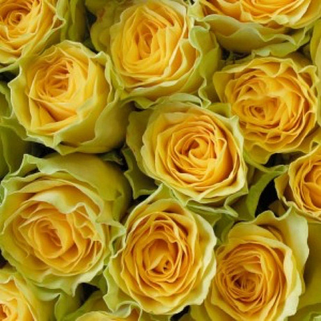 Букет цветов Илиус №2 - Фото 3