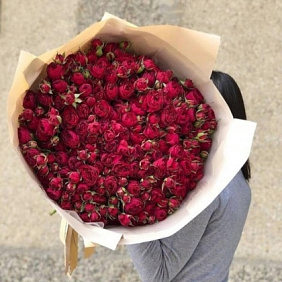 Розы ред лейс