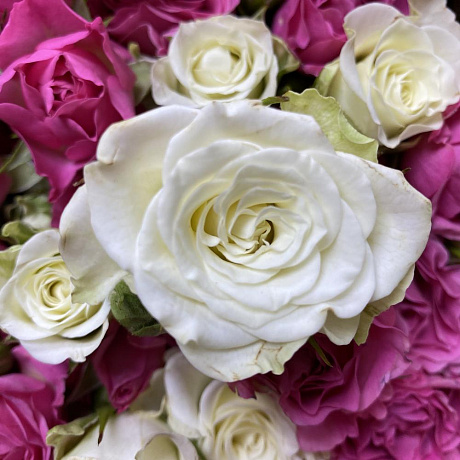 51 кустовая роза баблз - Фото 6