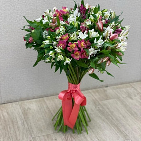 Букет из 51 альстромерии №164