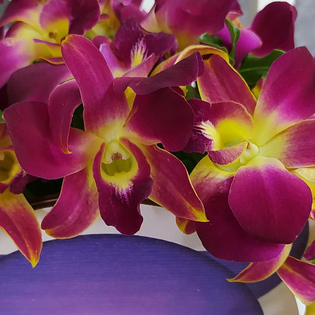 Букет цветов Сердитые орхидеи - Фото 4