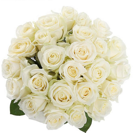 Букет 25 белых роз 60 см - Фото 2